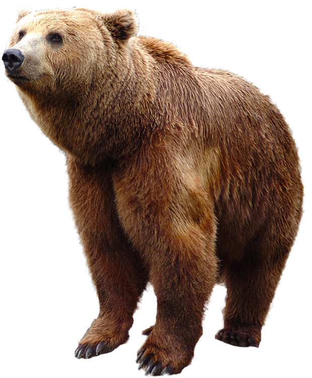 Fluffy AI character avatar