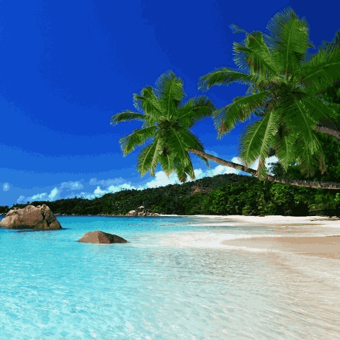 Avatar do personagem de IA Tropical Island